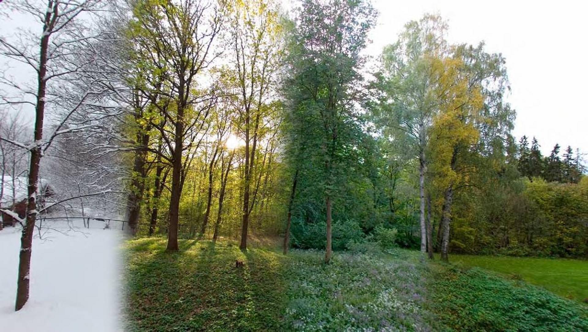 Seasons in russia. Пейзажи всех времен года. Лес в Разное время года. Природа в разные времена года.